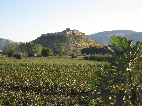 click on photo for full-size image