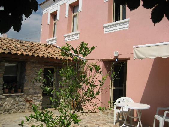 the lemon tree is still young